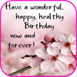 程序图标：Happy Birthday Wishes
