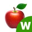 Иконка программы: Flashcards for Kids - Fir…