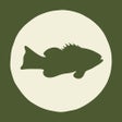 Programın simgesi: Local Catch App
