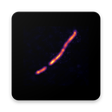 Icon of program: Radiation Camera