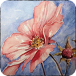 程序图标：Paint watercolors