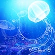 程序图标：The Jellyfish Story