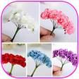 程序图标：How to Make Flowers from …