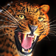 أيقونة البرنامج: Talking Cheetah