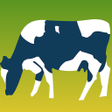 Icon of program: Grazing Calculator