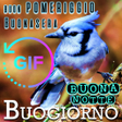 プログラムのアイコン：Italian Good Morning Nigh…