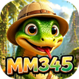 Иконка программы: MM345Flicker