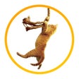 プログラムのアイコン：Save the Cat
