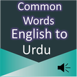 Icon of program: Common Words English to U…