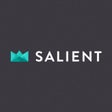 プログラムのアイコン：Salient - Responsive Mult…