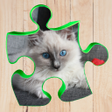 程序图标：Best puzzles