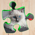 プログラムのアイコン：Best puzzles