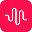 Icon of program: Musically Video Status Ma…
