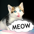 Ikon program: Cat translator. Cat sound…