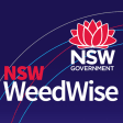 NSW WeedWise