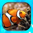 Icon of program: Fish Wallpaper Live HD3D4…