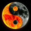 程序图标：Yin Yang Wallpapers