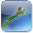 Ícone do programa: Christmas Super Frog