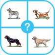 プログラムのアイコン：Dog Breed Quiz : Guess Th…