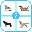 Dog Breed Quiz : Guess The Dog Trivia Pup Games