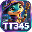 프로그램 아이콘: TT345find