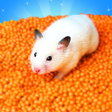 プログラムのアイコン：Hamster Run