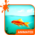 Ikona programu: Golden Fish HD Wallpaper …
