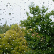 Icon of program: 3D Raindrops Live Wallpap…