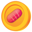 Biểu tượng của chương trình: Token Finder - Sources an…