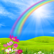 Ikona programu: Rainbow Live Wallpaper