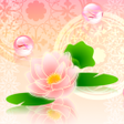 プログラムのアイコン：Elegant Theme-Pink Water …