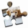 Иконка программы: Golden Retriever Puzzle