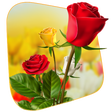 プログラムのアイコン：360 Flower live wallpaper…