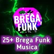 25 Brega Funk Musica