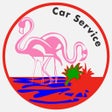 Ikon program: Flamingo Car and Limo Ser…