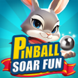 Ícone do programa: Pinball Soar Fun