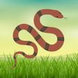 Symbol des Programms: Indian Snakes