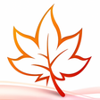 程序图标：MindMaple Lite