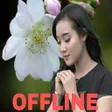 Icon of program: Dangdut Yeni Inka Album 2…