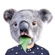 プログラムのアイコン：Animal Face Swap: Collage…