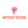 プログラムのアイコン：Youtube White Lister