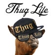 プログラムのアイコン：Thug Life Maker