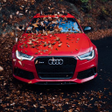 Ikona programu: Audi RS6 Car Wallpapers