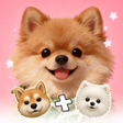 ไอคอนของโปรแกรม: Doggy Mix Masters