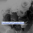 CustomPostTypeArchive