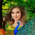 程序图标：Peacock Photo Frames
