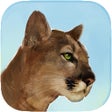 ไอคอนของโปรแกรม: Puma Wild