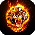 Icoon van programma: Fire Wallpaper 2023