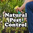 Иконка программы: Natural Pest Control