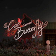 Programın simgesi: Cat carried Butterfly